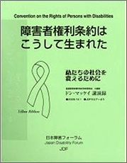 障害者権利条約はこうして生まれた 点字版